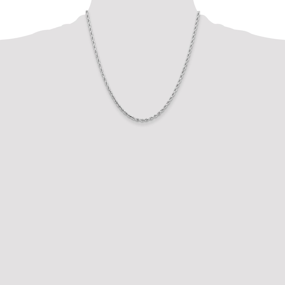 10k White Gold 3.25mm Diamond-cut Rope Chain (10K024W-20)