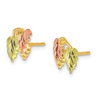 10K and 12K Tri-color Black Hills Gold Grapes and Leaves Post Earrings view 2