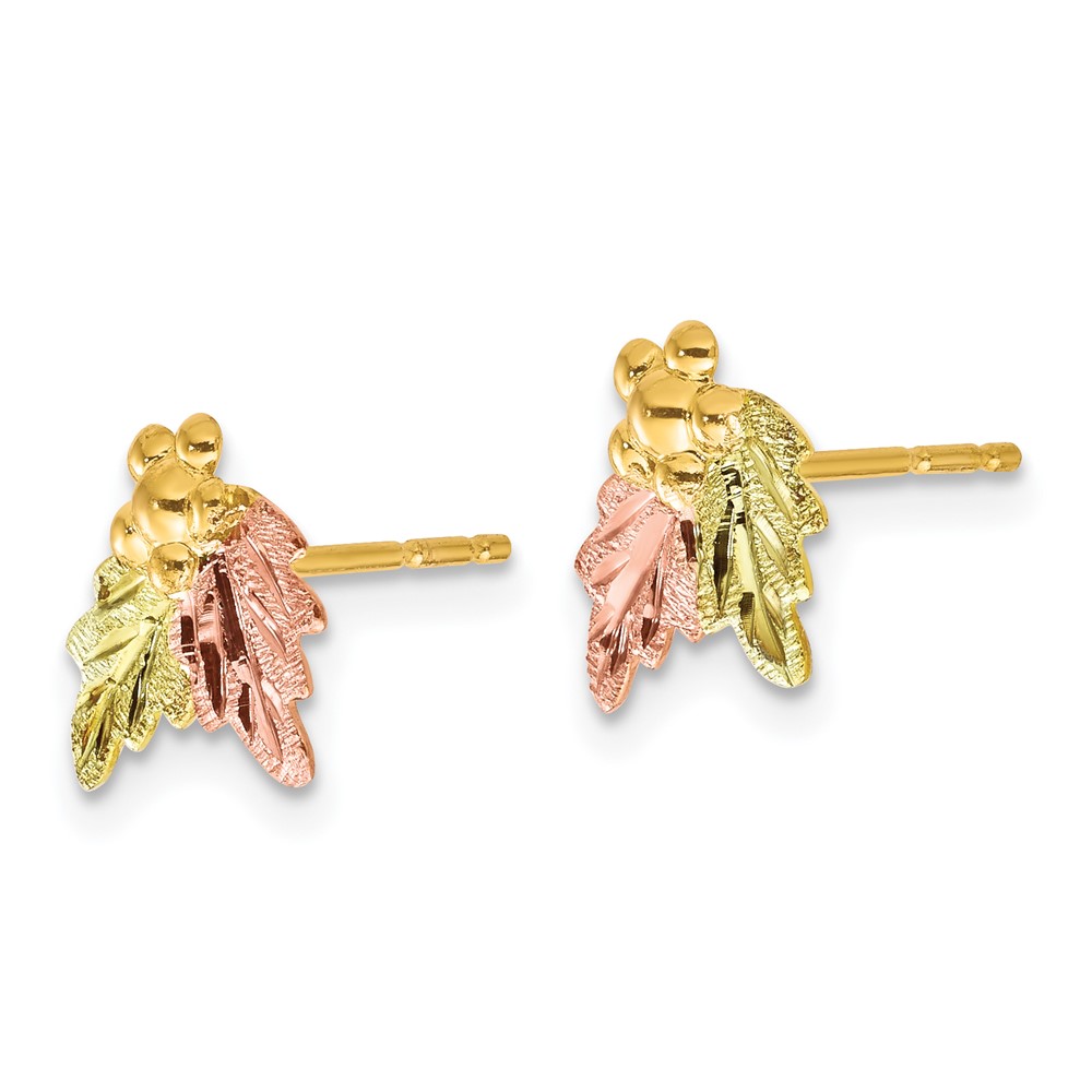 10k Tri-color Black Hills Gold Post Earrings (10BH644)