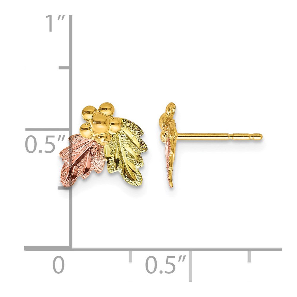 10k Tri-color Black Hills Gold Post Earrings (10BH644)