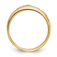 10K and 12K Tri-color Black Hills Gold Leaves Ladies Band view 2