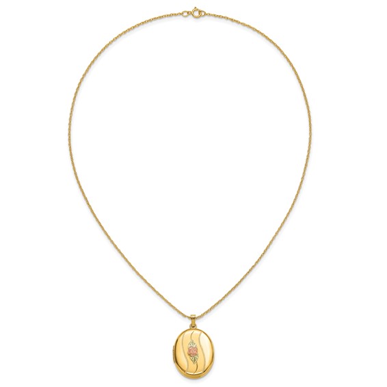 10K w/ 12k Accents and 14k Gold-filled Chain Black Hills Locket