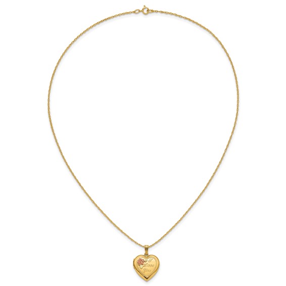 10k w/ 12k Accents and 14k Gold-filled Chain Black Hills Locket