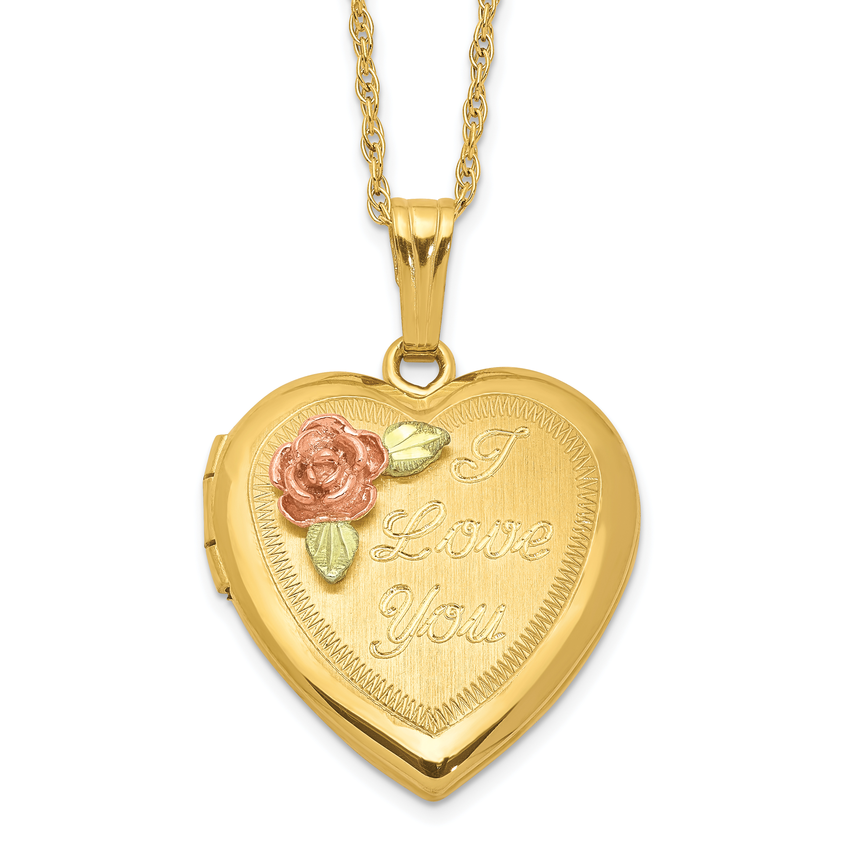 10k w/ 12k Accents and 14k Gold-filled Chain Black Hills Locket (10BH680-18)