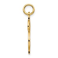 10K Yellow Gold Solid Polished Dollar Sign Charm view 2