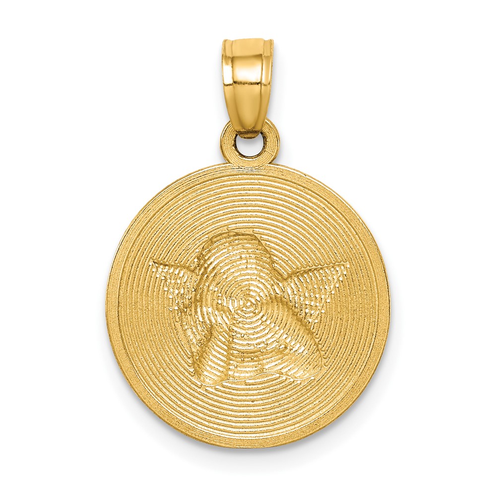 10K W/Rhodium Polished and Textured Angel Pendant (10C1366)