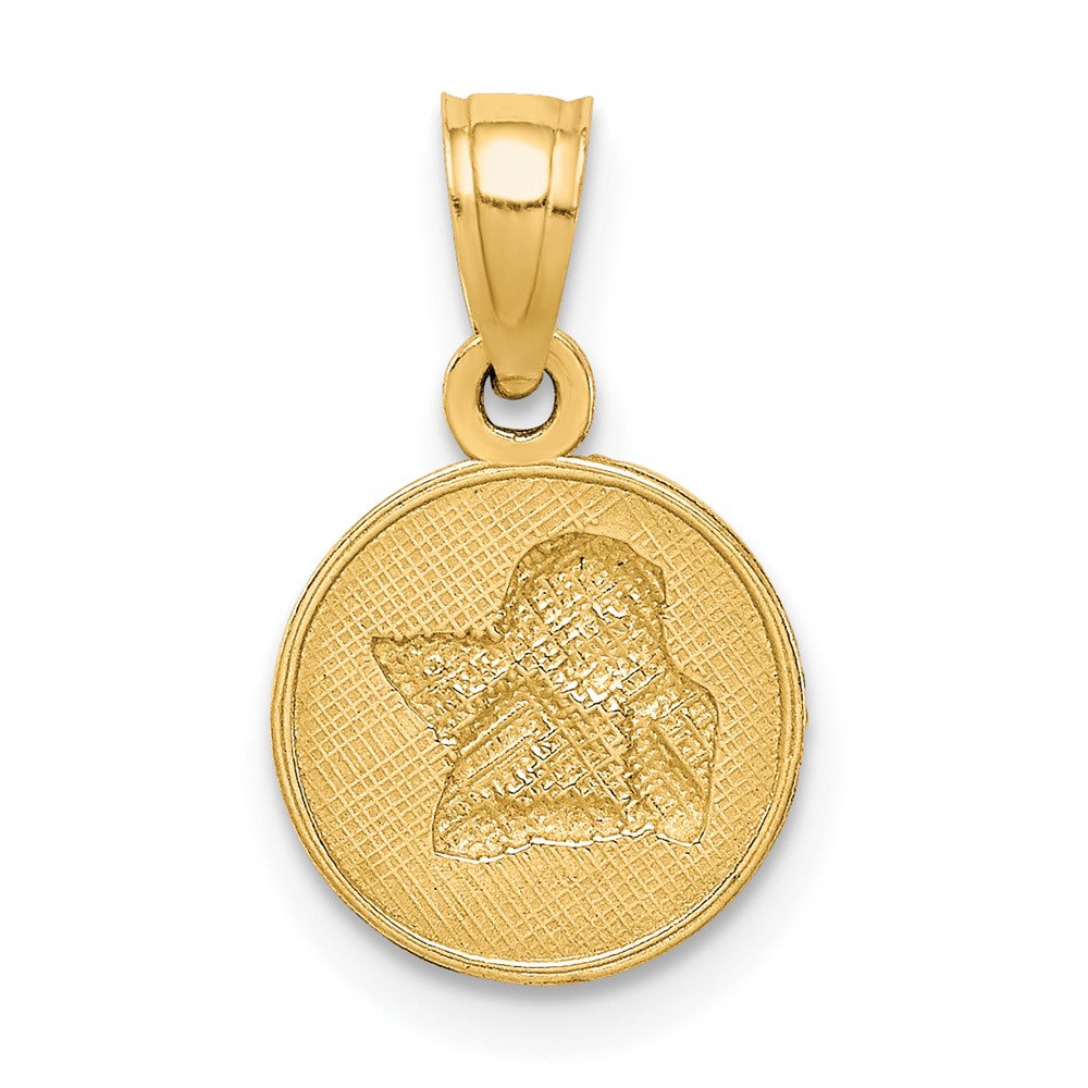 10K W/Rhodium Polished and Textured Angel Pendant (10C1367)