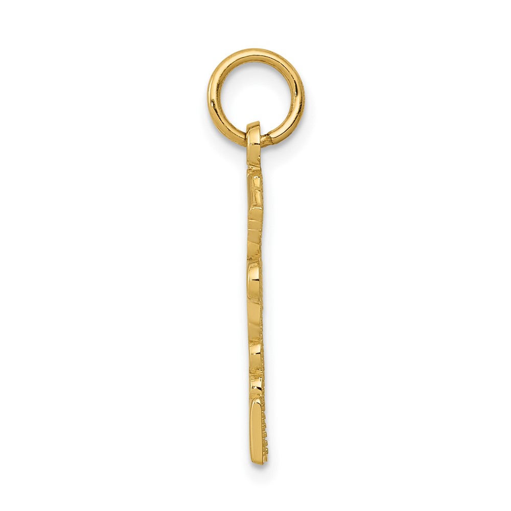 10k Registered Nurse Practitioner Charm (10C1787)