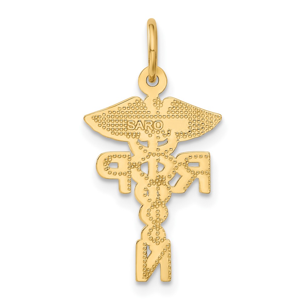 10k Registered Nurse Practitioner Charm (10C1787)