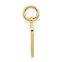 10K Yellow Gold Basketweave Heart Charm view 2