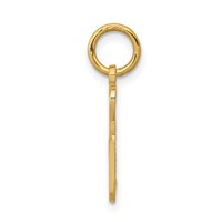 10K Yellow Gold Talking, 2 Sexy Charm view 2
