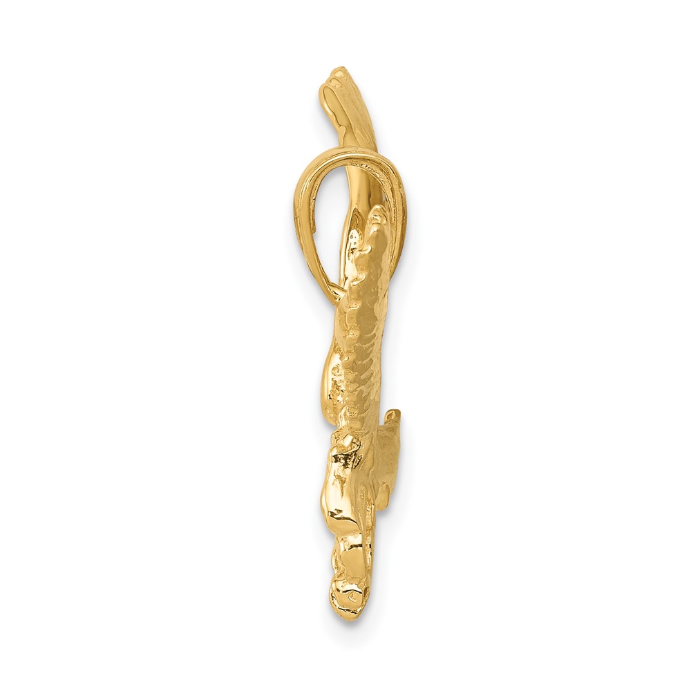 10k Solid Polished Eagle Pendant (10C2425)