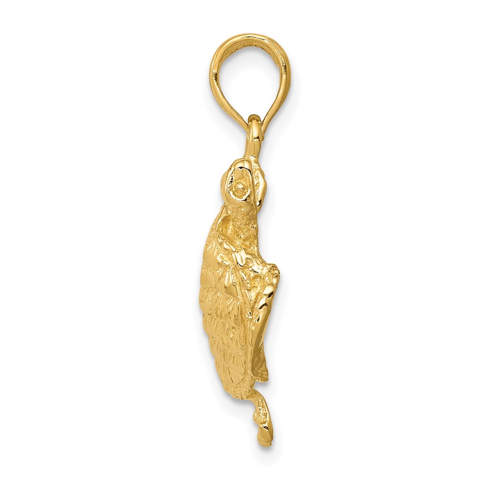 10K Solid Polished Open-Backed Turtle Pendant (10C2546)