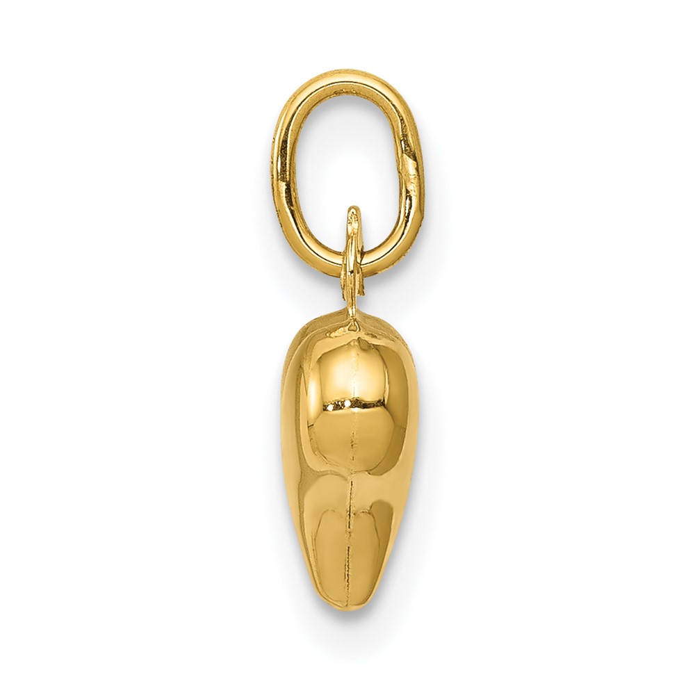 10K Polished 3-D Heart Charm (10C2905)