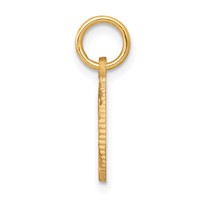 10K Yellow Gold Solid Flat-Backed Eternal Life Cross in Circle Charm view 2