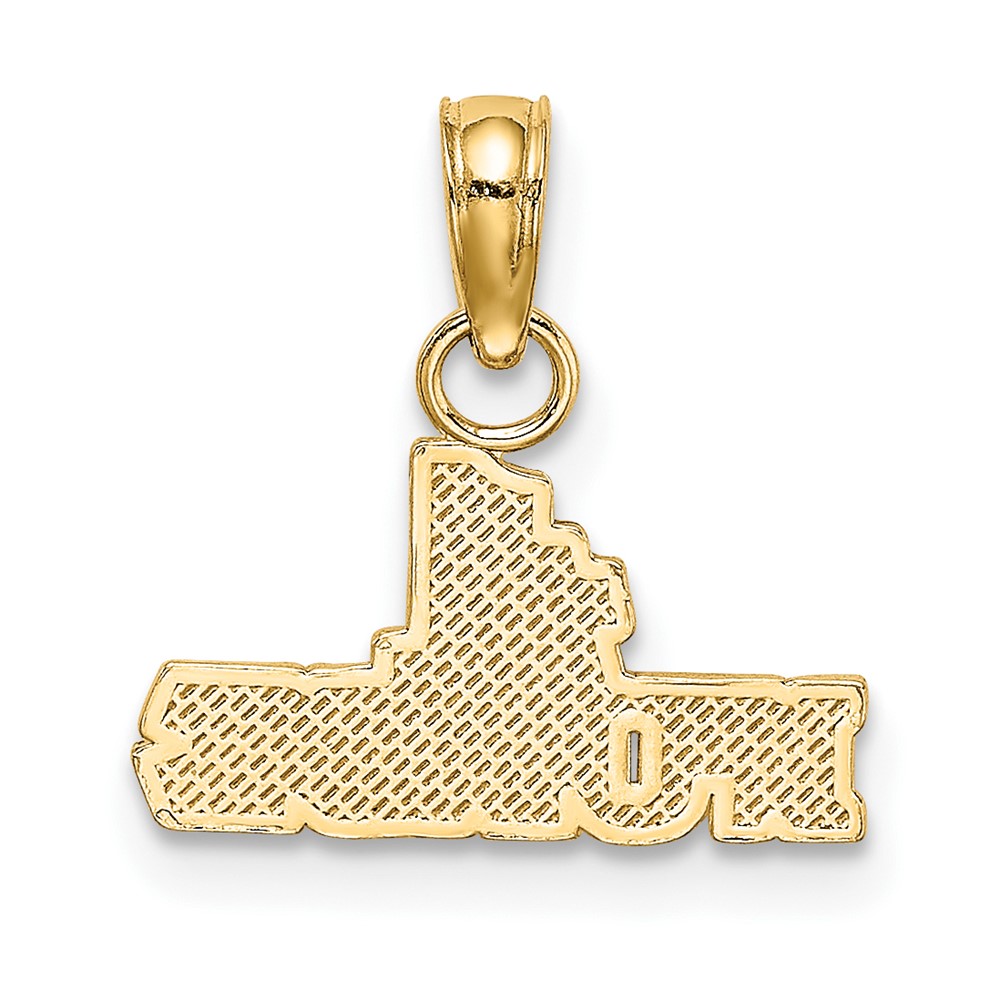 10K #1 Nurse Pendant (10C2964)
