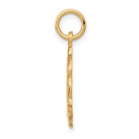 10K Yellow Gold Eternal Life Cross in Scalloped Frame Charm view 2