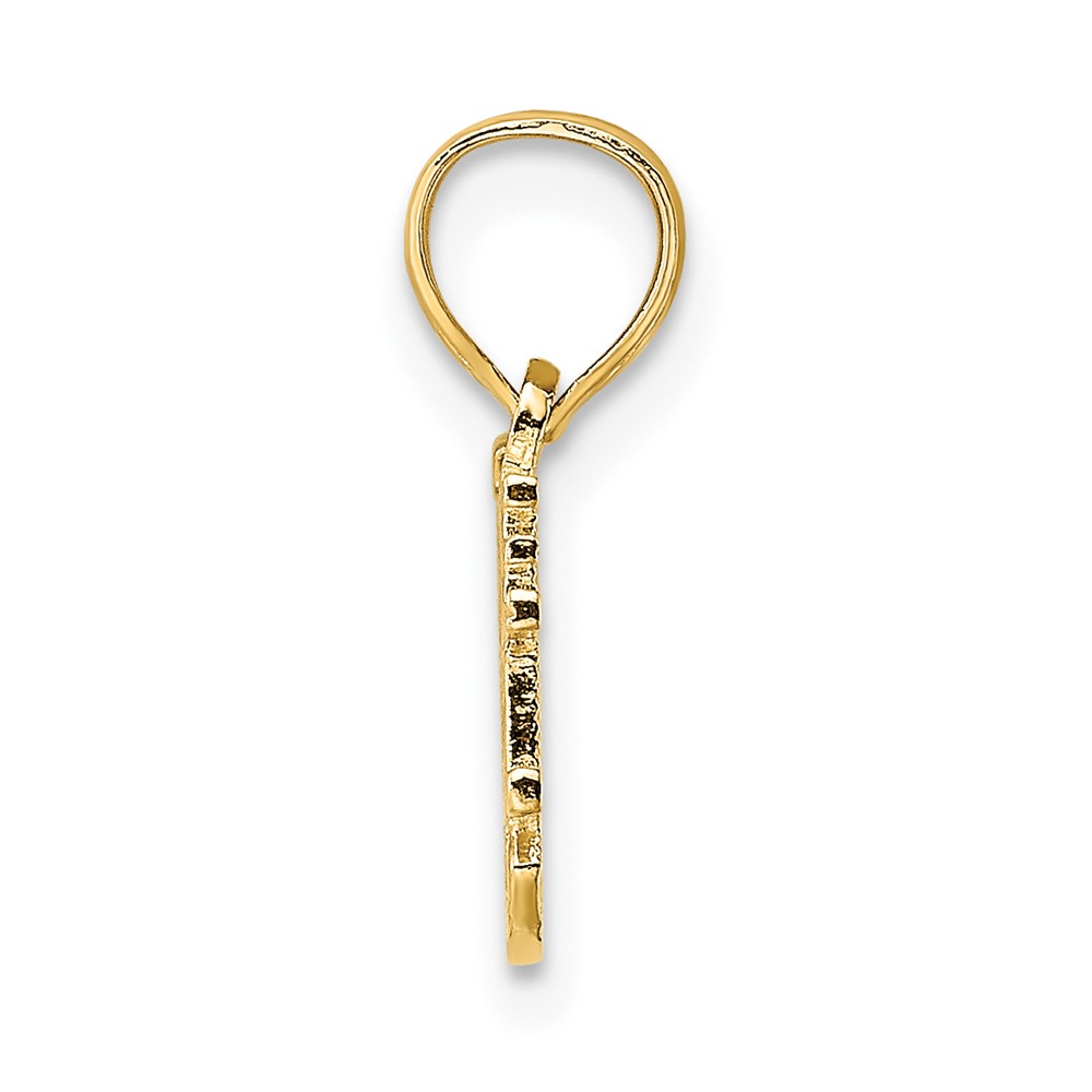 10k SOMEONE SPECIAL Charm (10C2996)
