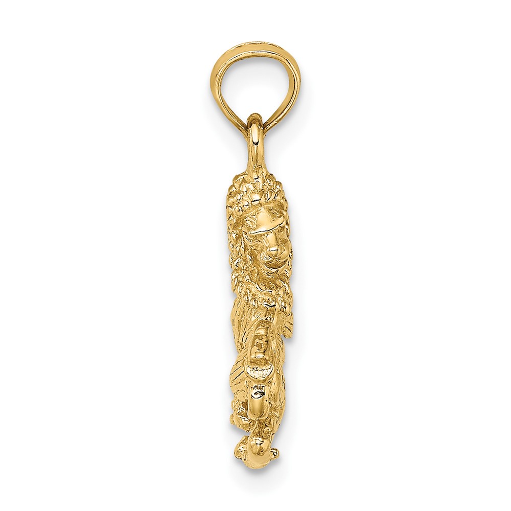 10K 3-D Leo Zodiac Pendant (10C3147)