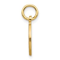 10K Yellow Gold Star of David in Circle Charm view 2