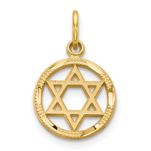 10K Yellow Gold Star of David in Circle Charm