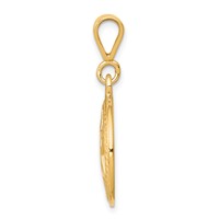 10K Yellow Gold Star of David in Circle Charm view 2