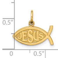 10K Yellow Gold Ichthus Fish Pendant with Jesus Center view 4