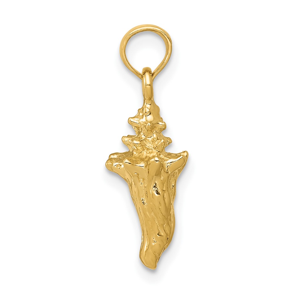 10k 3-D Conch Shell (10C3368)