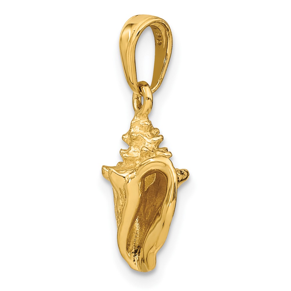 10k 3-D Conch Shell (10C3368)