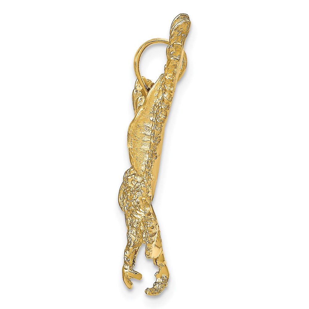10k Textured Eagle Landing Pendant (10C3488)
