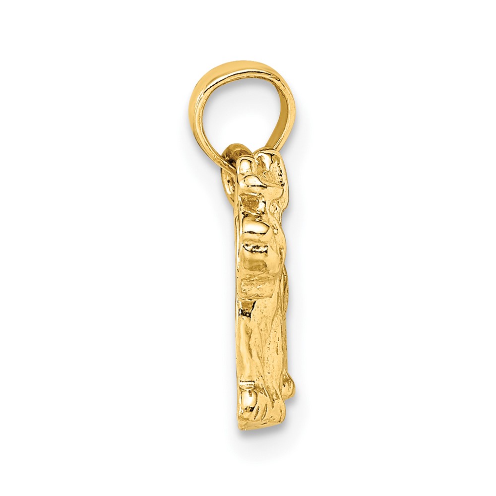 10k Schnauzer Dog Pendant (10C3509)