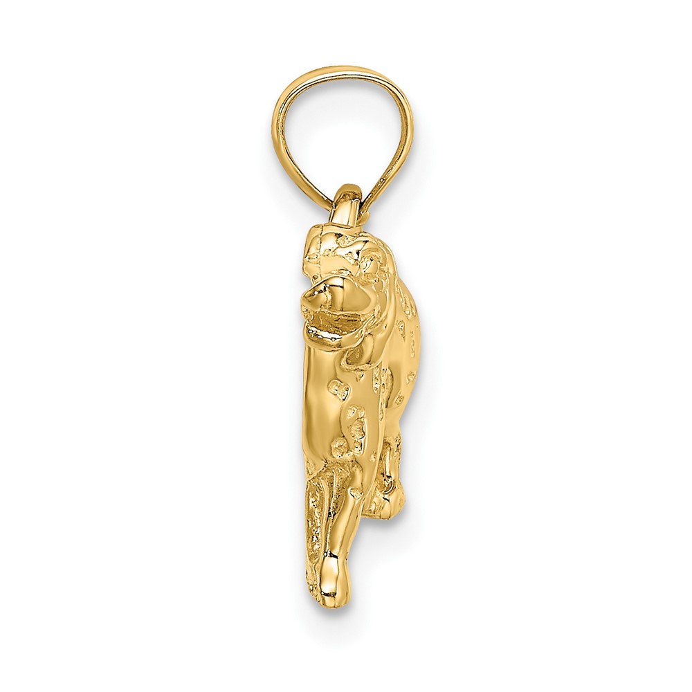 10k Dalmatian Dog Charm (10C3510)