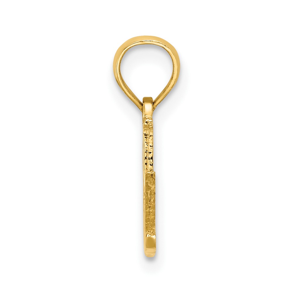 10k #1 GRAD Pendant (10C4018)