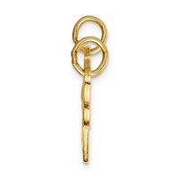 10K Yellow Gold HE Who Holds the Key. Heart and Key 2-Piece Break-apart Charm view 2