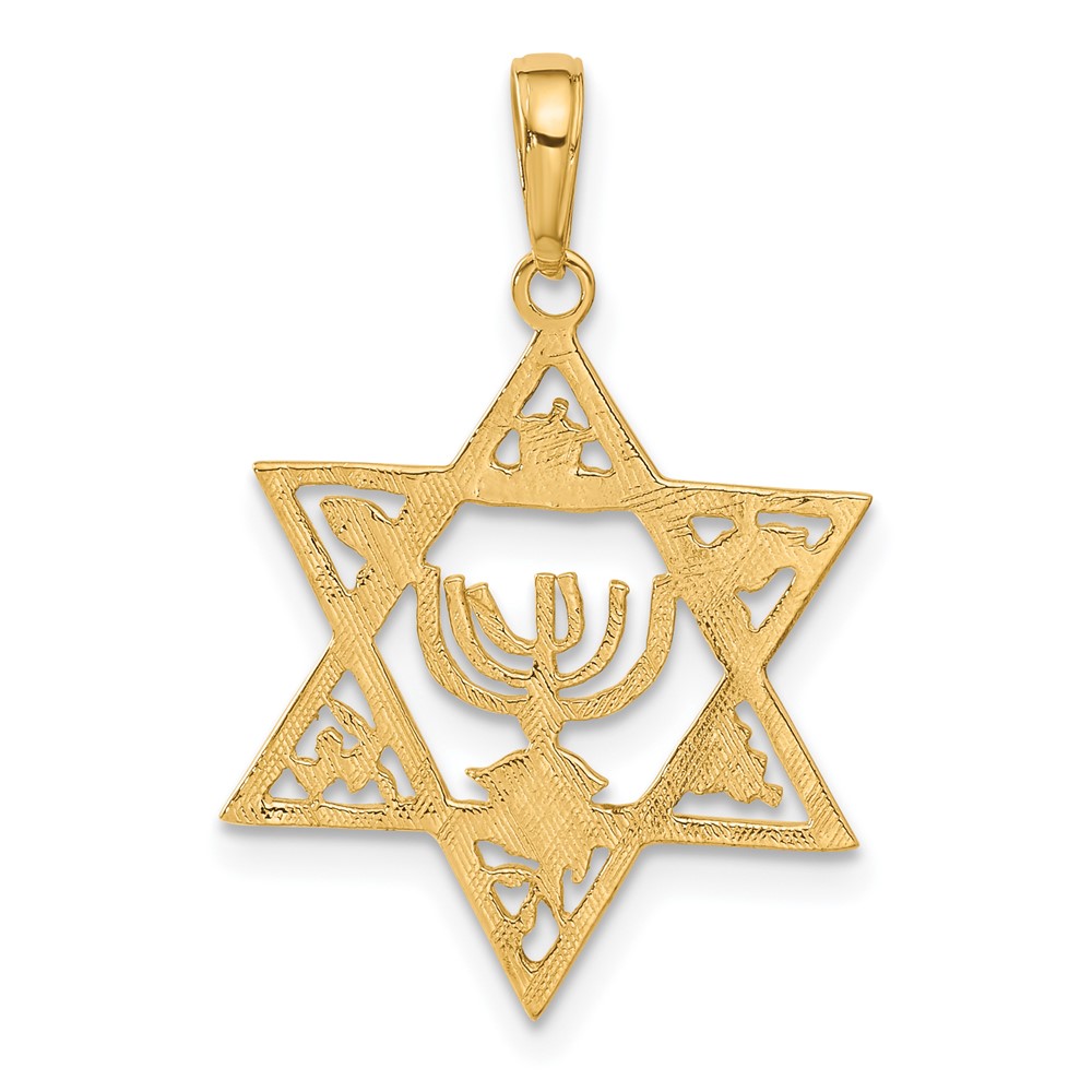 10K Star of David w/Menorah Pendant (10C4452)