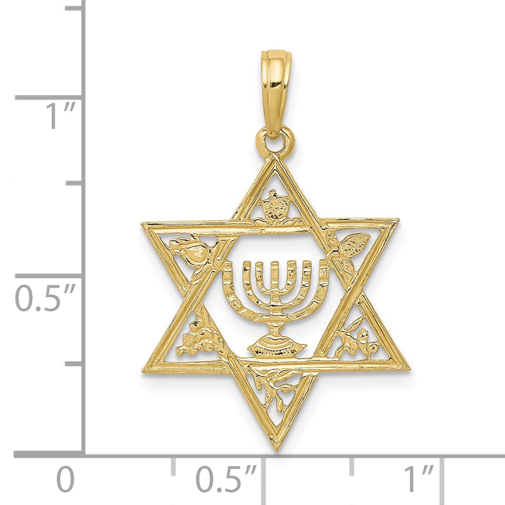 10K Star of David w/Menorah Pendant (10C4452)