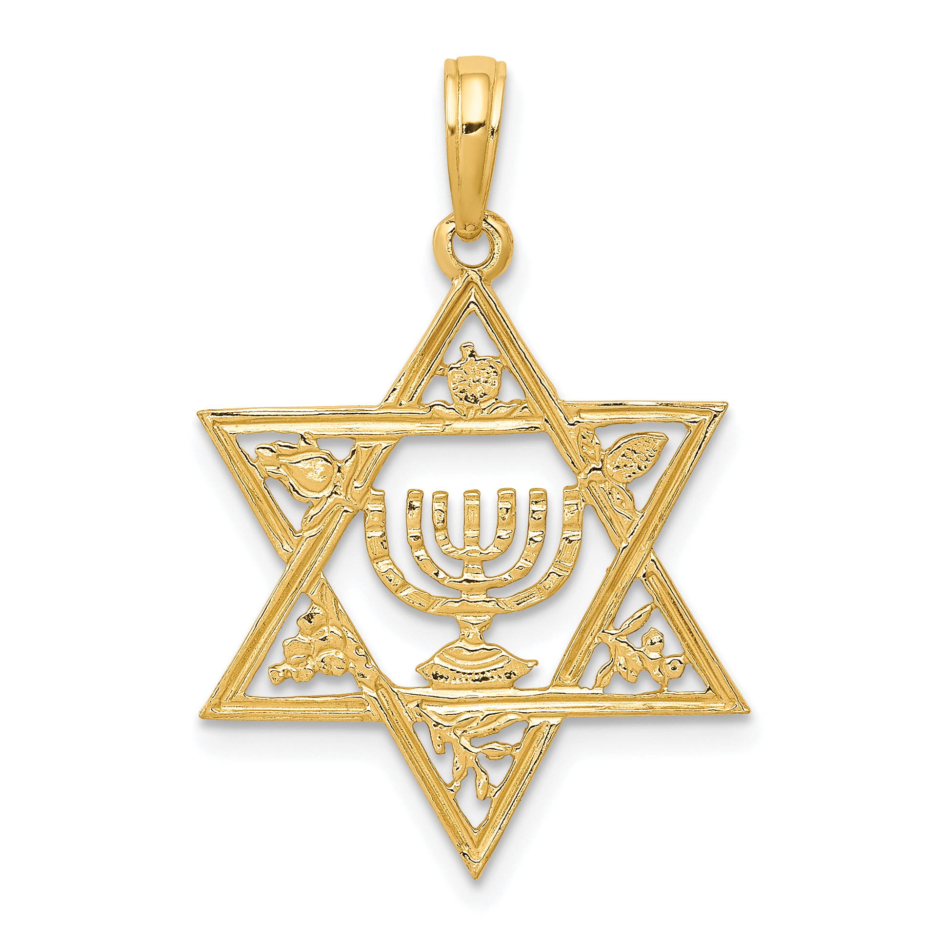 10K Star of David w/Menorah Pendant (10C4452)