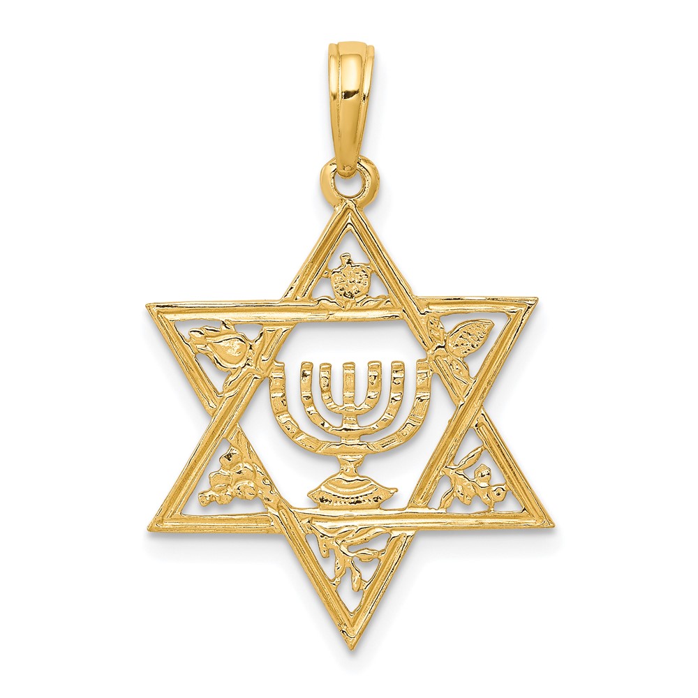 10K Star of David w/Menorah Pendant (10C4452)