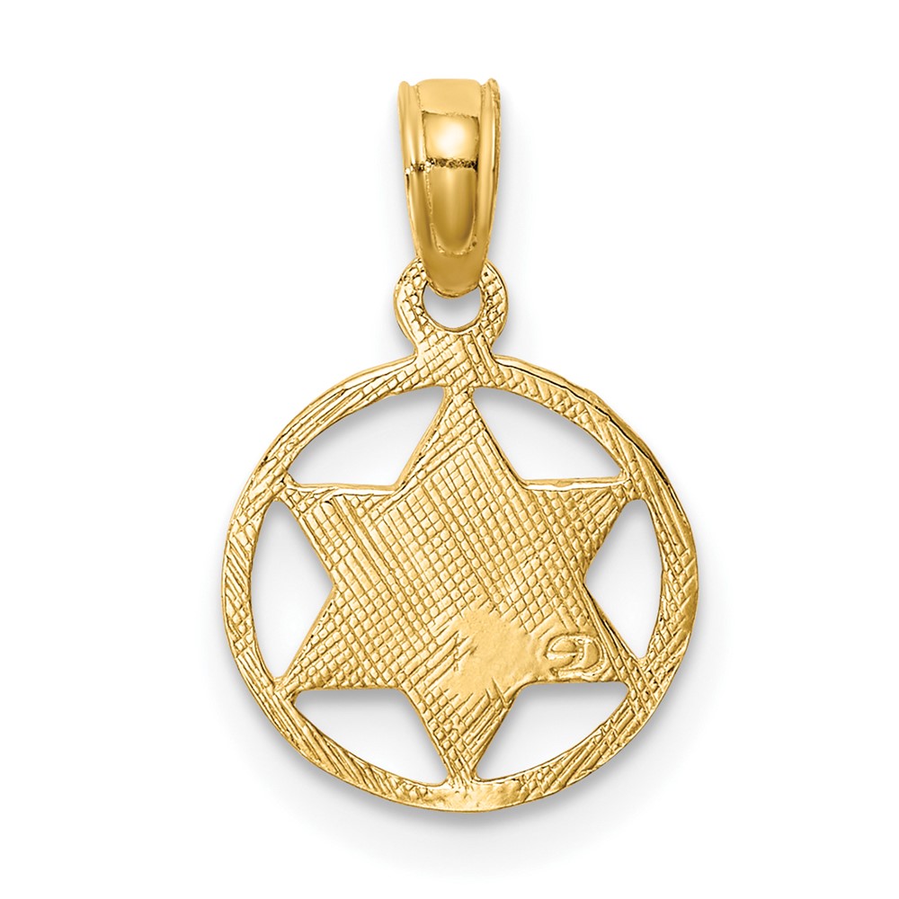 10K Star of David in Circle Frame Pendant (10C4458)
