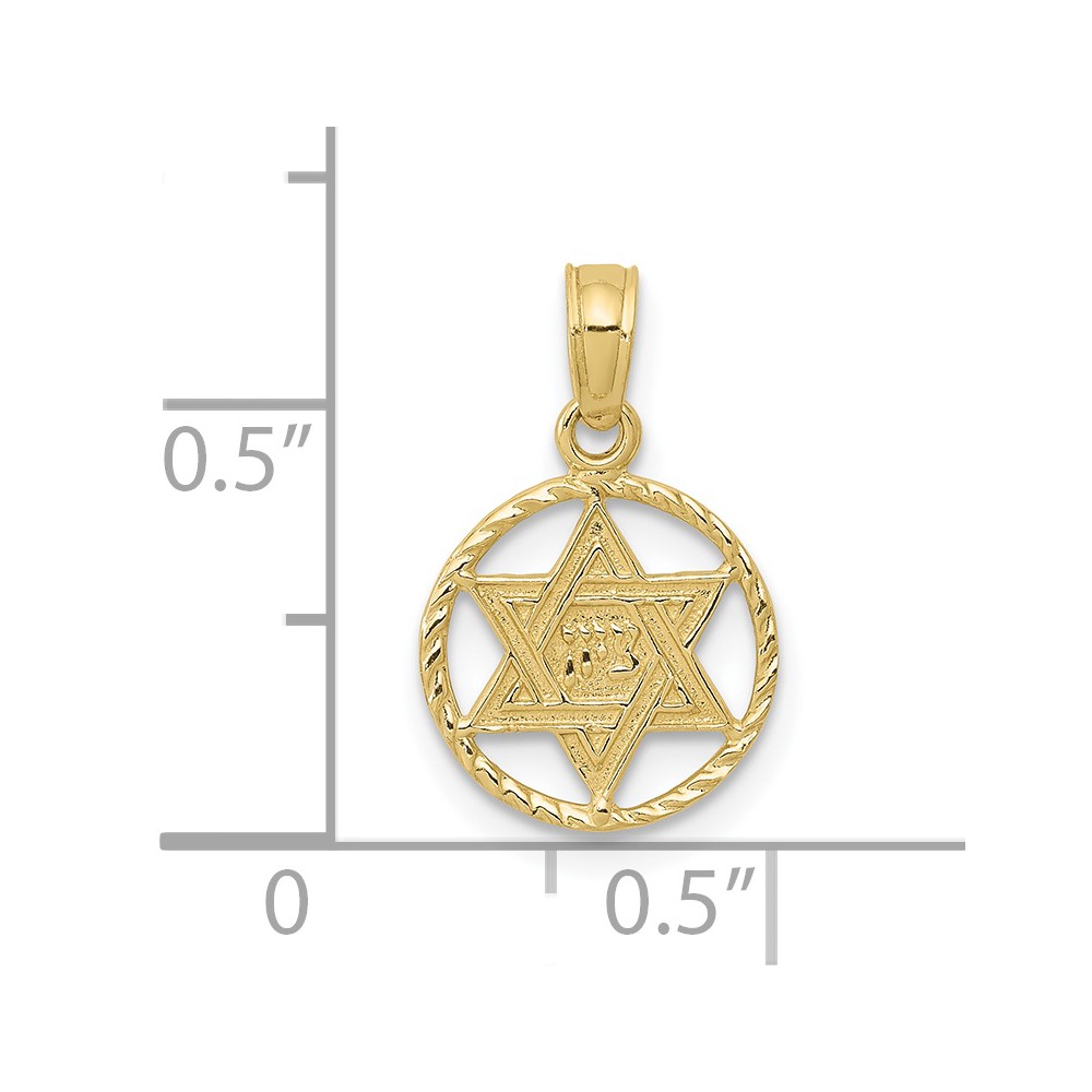 10K Star of David in Circle Frame Pendant (10C4458)