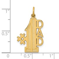 10K #1 Dad Charm view 3