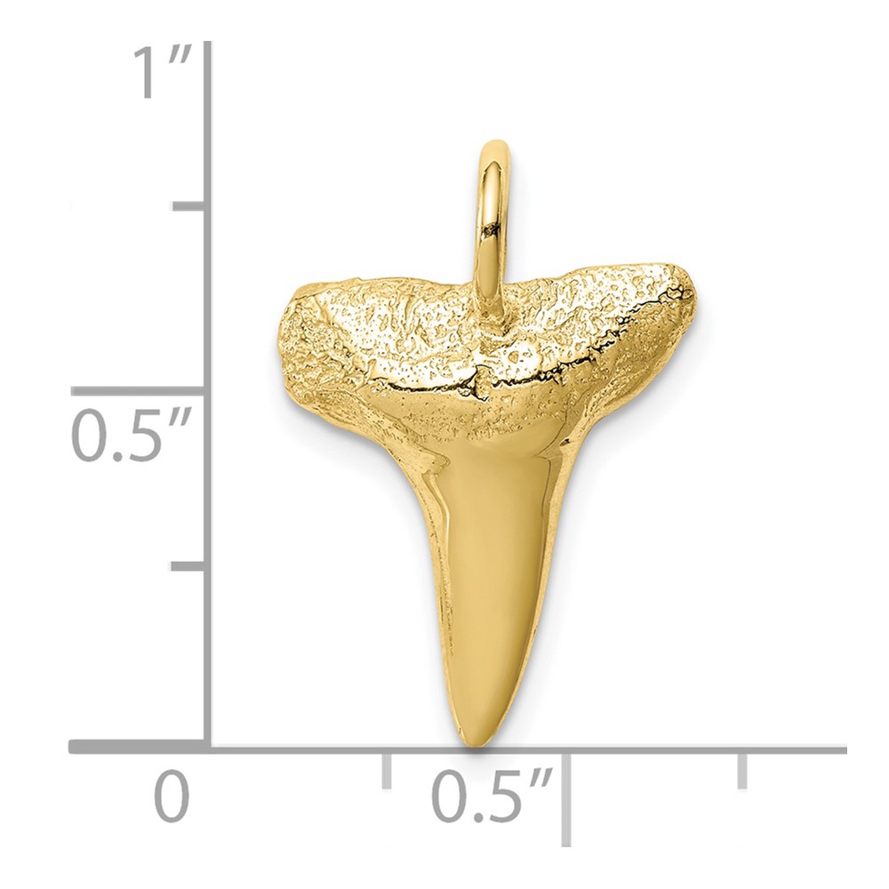 10K Shark Tooth Pendant (10C4589)