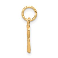 10K Yellow Gold Talking - Spoiled Rotten Charm view 2