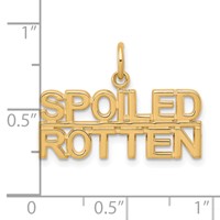 10K Yellow Gold Talking - Spoiled Rotten Charm view 3