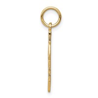 10K Yellow Gold Talking - Taken Charm view 2