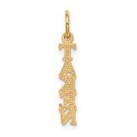 10K Yellow Gold Talking - Taken Charm view 4