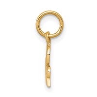 10K Yellow Gold Godmother Charm view 2
