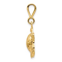 10K Yellow Gold Turtle Pendant view 2