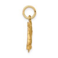10K Yellow Gold Solid Satin Diamond-cut Horsehead Charm with Reins view 2