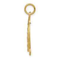10K Yellow Gold Solid Flat-Backed Horsehead in Horseshoe Charm view 2